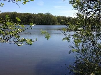 Cleveley Mere Luxury Waterside Lodges Scorton  Exterior foto